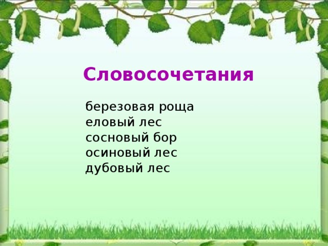Словосочетания  березовая роща еловый лес сосновый бор осиновый лес дубовый лес 