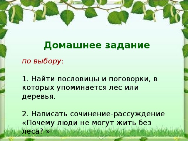 Домашнее задание по выбору : 1. Найти пословицы и поговорки, в которых упоминается лес или деревья. 2. Написать сочинение-рассуждение «Почему люди не могут жить без леса? » 