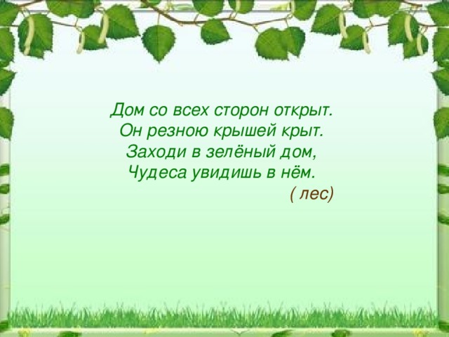 Дом со всех сторон открыт. Он резною крышей крыт. Заходи в зелёный дом, Чудеса увидишь в нём.  ( лес) 