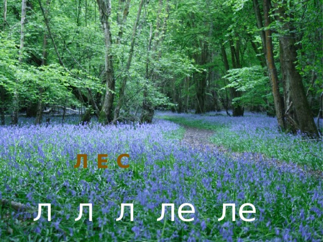    Л Е С   л л л ле ле ле лес 