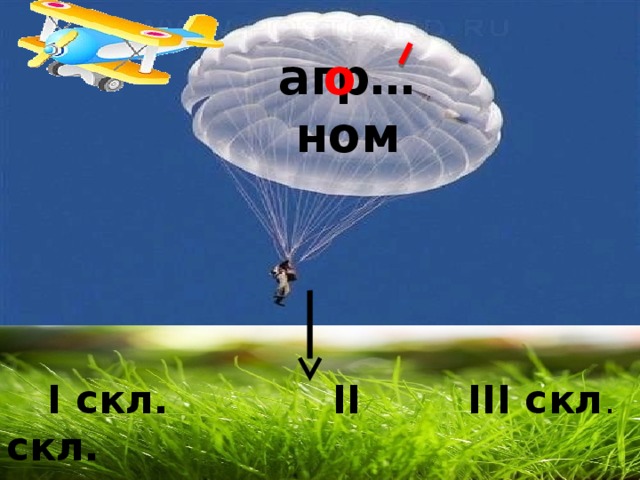 агр…ном о  I скл. II скл. III скл . 