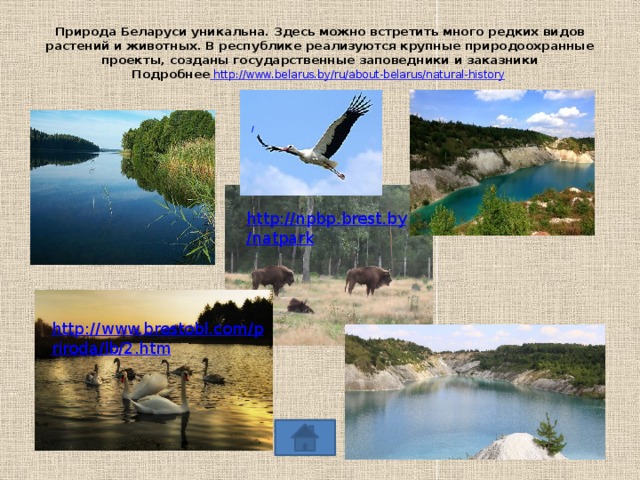 Природа Беларуси уникальна. Здесь можно встретить много редких видов растений и животных. В республике реализуются крупные природоохранные проекты, созданы государственные заповедники и заказники  Подробнее http://www.belarus.by/ru/about-belarus/natural-history    http://npbp.brest.by/natpark http://www.brestobl.com/priroda/lb/2.htm 