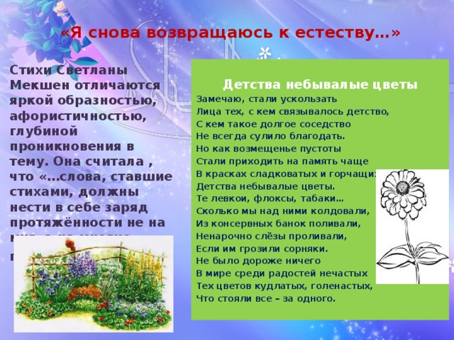 «Я снова возвращаюсь к естеству…» Стихи Светланы Мекшен отличаются яркой образностью, афористичностью, глубиной проникновения в тему. Она считала , что «…слова, ставшие стихами, должны нести в себе заряд протяжённости не на миг, а на многие годы».  Детства небывалые цветы Замечаю, стали ускользать Лица тех, с кем связывалось детство, С кем такое долгое соседство Не всегда сулило благодать. Но как возмещенье пустоты Стали приходить на память чаще В красках сладковатых и горчащих Детства небывалые цветы. Те левкои, флоксы, табаки… Сколько мы над ними колдовали, Из консервных банок поливали, Ненарочно слёзы проливали, Если им грозили сорняки. Не было дороже ничего В мире среди радостей нечастых Тех цветов кудлатых, голенастых, Что стояли все – за одного. 