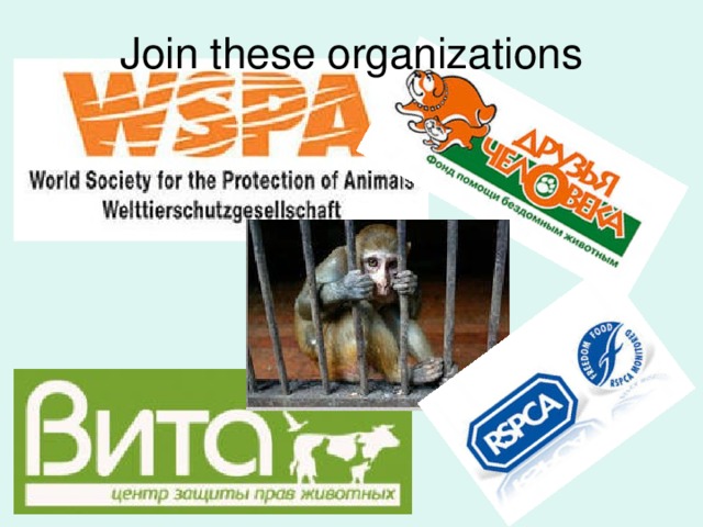 Join these organizations