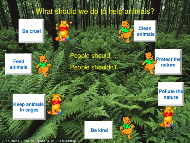 What should we do to help animals? Be cruel Clean  animals Protect the nature People should… People shouldn’t  Feed animals Pollute the nature Keep animals In cages  Be kind