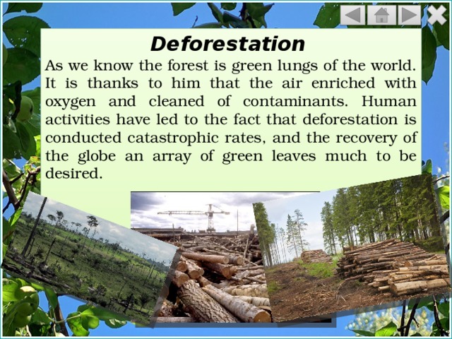 Deforestation  As we know the forest is green lungs of the world. It is thanks to him that the air enriched with oxygen and cleaned of contaminants. Human activities have led to the fact that deforestation is conducted catastrophic rates, and the recovery of the globe an array of green leaves much to be desired. 
