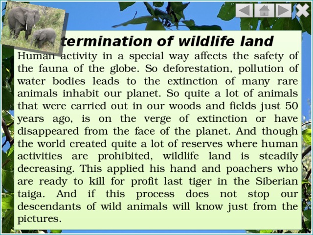 Extermination of wildlife land Human activity in a special way affects the safety of the fauna of the globe. So deforestation, pollution of water bodies leads to the extinction of many rare animals inhabit our planet. So quite a lot of animals that were carried out in our woods and fields just 50 years ago, is on the verge of extinction or have disappeared from the face of the planet. And though the world created quite a lot of reserves where human activities are prohibited, wildlife land is steadily decreasing. This applied his hand and poachers who are ready to kill for profit last tiger in the Siberian taiga. And if this process does not stop our descendants of wild animals will know just from the pictures. 