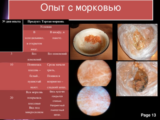 Опыт с морковью № дня опыта Продукт: Тертая морковь Условия В холодильнике, в открытом виде. 3 В шкафу, в пакете. Без изменений 10 20 Появилась плесень – белый , пушистый налет. Без изменений Срезы начали грить, Появился неприятно – сладкий запах. Вся морковь покрылась плесенью Вид под микроскопом Весь кусочек покрылся слизью. Неприятный гнилостный запах. 