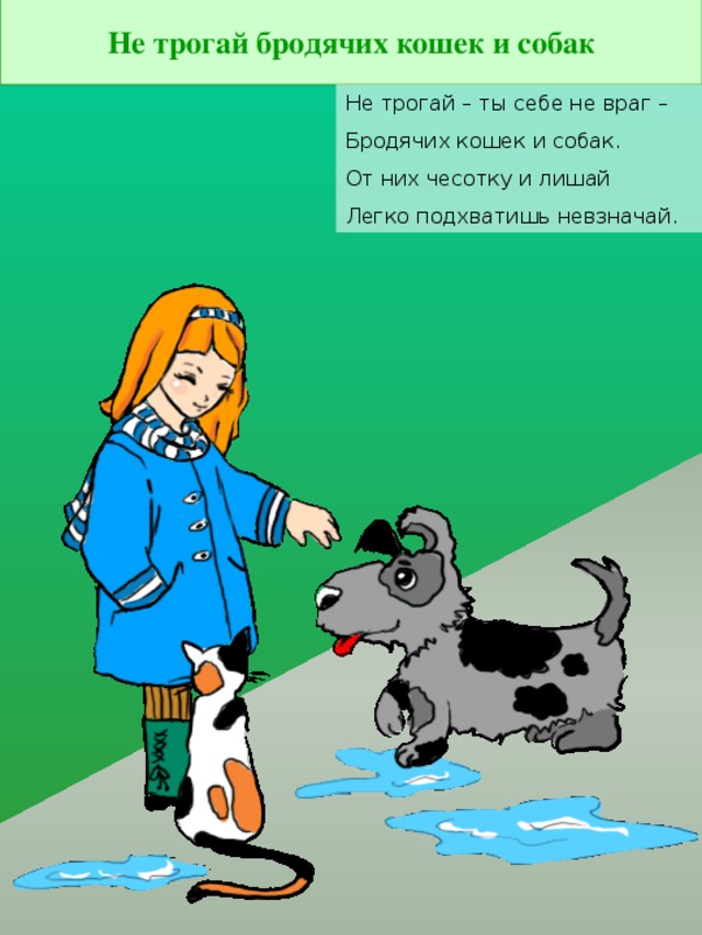 Не трогай бродячих кошек и собак Не трогай – ты себе не враг – Бродячих кошек и собак. От них чесотку и лишай Легко подхватишь невзначай.