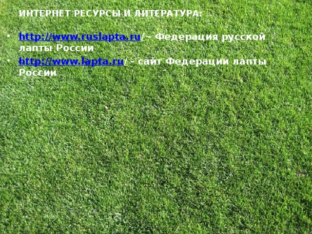 ИНТЕРНЕТ РЕСУРСЫ И ЛИТЕРАТУРА: http://www.ruslapta.ru / - Федерация русской лапты России http://www.lapta.ru / - сайт Федерации лапты России   