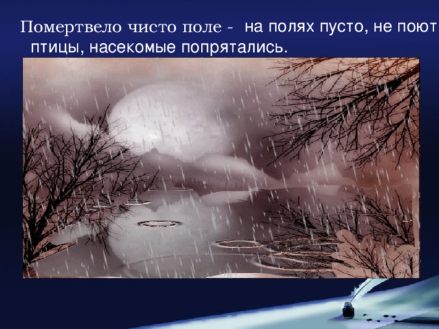 Помертвело чисто поле -  на полях пусто, не поют птицы, насекомые попрятались.