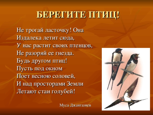 БЕРЕГИТЕ ПТИЦ! Не трогай ласточку! Она Издалека летит сюда, У нас растит своих птенцов, Не разоряй ее гнезда. Будь другом птиц! Пусть под окном Поет весною соловей, И над просторами Земли Летают стаи голубей!  Муса Джангазиев 