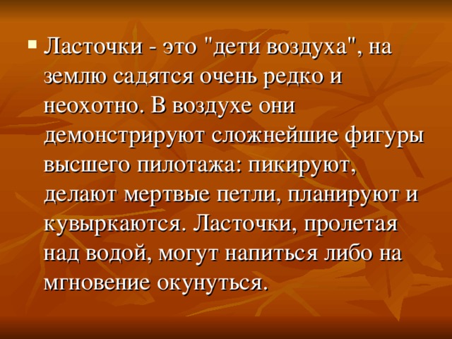 Ласточки - это 