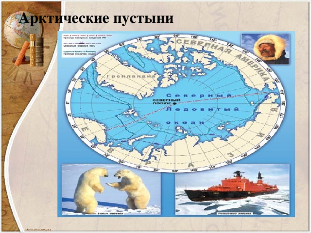 Арктические пустыни 