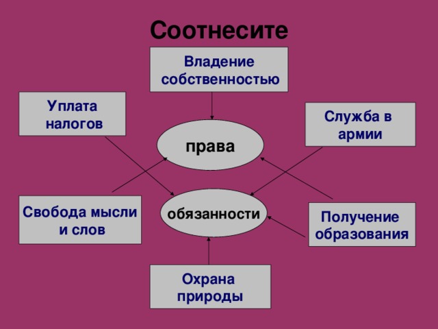 Соотнесите Владение  собственностью Уплата  налогов Служба в армии права обязанности Свобода мысли  и слов Получение образования Охрана природы 