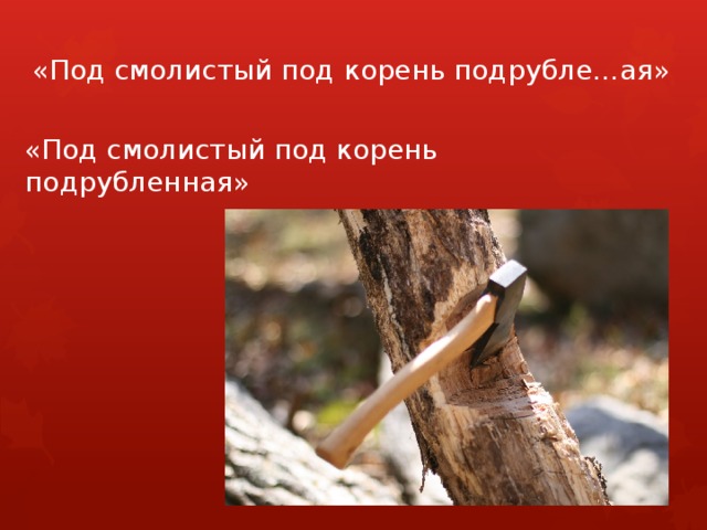 «Под смолистый под корень подрубле…ая» «Под смолистый под корень подрубленная» 