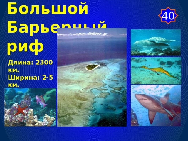40 Большой Барьерный  риф Длина: 2300 км. Ширина: 2-5 км.