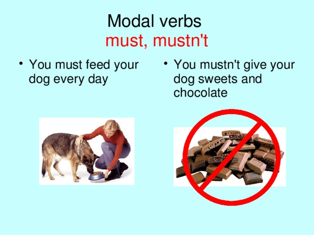 Modal verbs  must, mustn't You must feed your dog every day You mustn't give your dog sweets and chocolate  