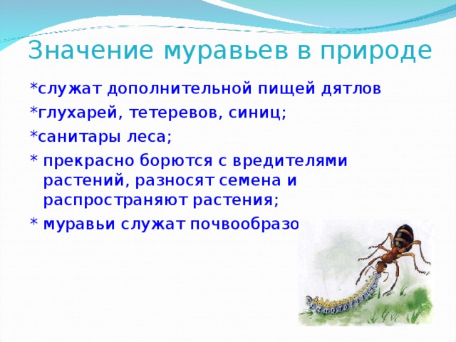 Значение муравьев в природе *служат дополнительной пищей дятлов *глухарей, тетеревов, синиц; *санитары леса; * прекрасно борются с вредителями растений, разносят семена и распространяют растения;  * муравьи служат почвообразователями 