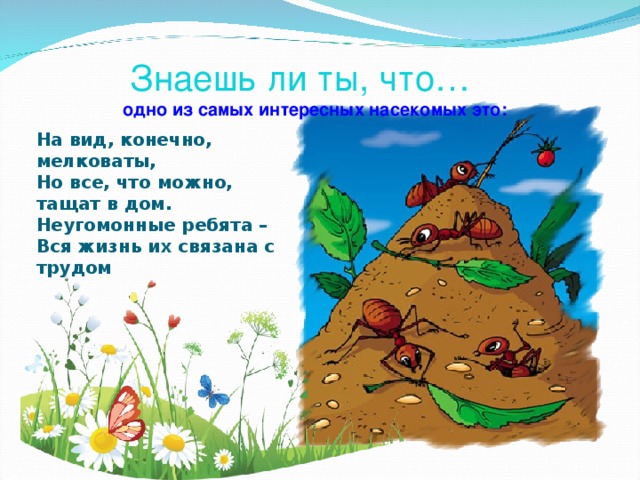    Знаешь ли ты, что…  одно из самых интересных насекомых это:   На вид, конечно, мелковаты,  Но все, что можно, тащат в дом.  Неугомонные ребята –  Вся жизнь их связана с трудом 