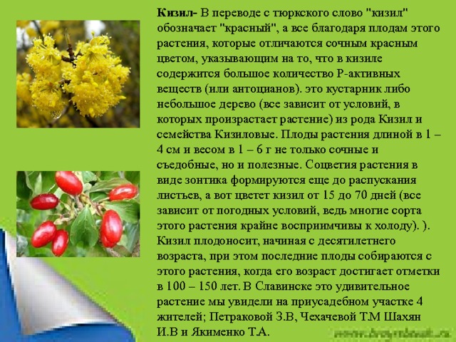 Кизил- В переводе с тюркского слово 