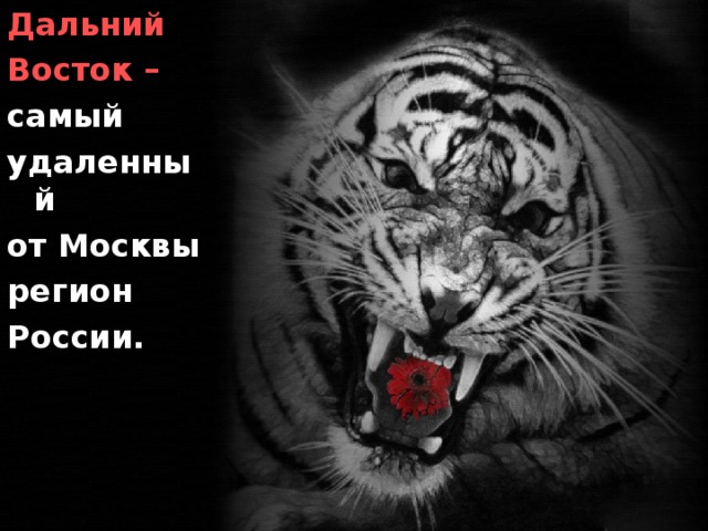 Дальний Восток – самый удаленный от Москвы регион России. 