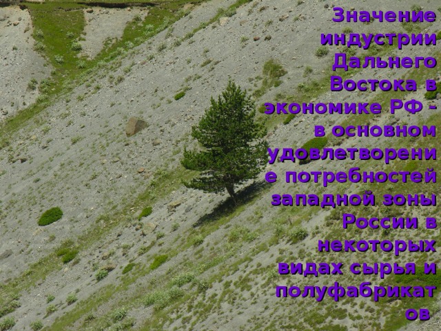 Значение индустрии Дальнего Востока в экономике РФ - в основном удовлетворение потребностей западной зоны России в некоторых видах сырья и полуфабрикатов 