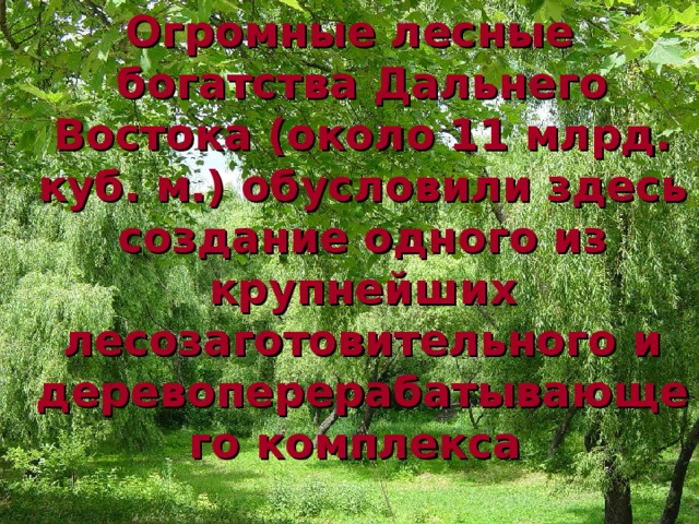 Огромные лесные богатства Дальнего Востока (около 11 млрд. куб. м.) обусловили здесь создание одного из крупнейших лесозаготовительного и деревоперерабатывающего комплекса 