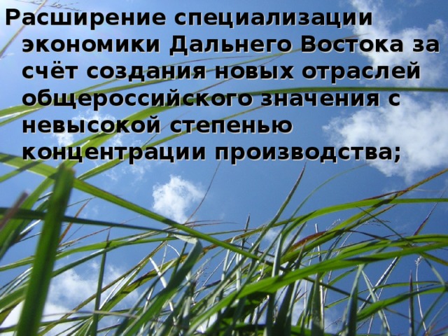 Расширение специализации экономики Дальнего Востока за счёт создания новых отраслей общероссийского значения с невысокой степенью концентрации производства; 