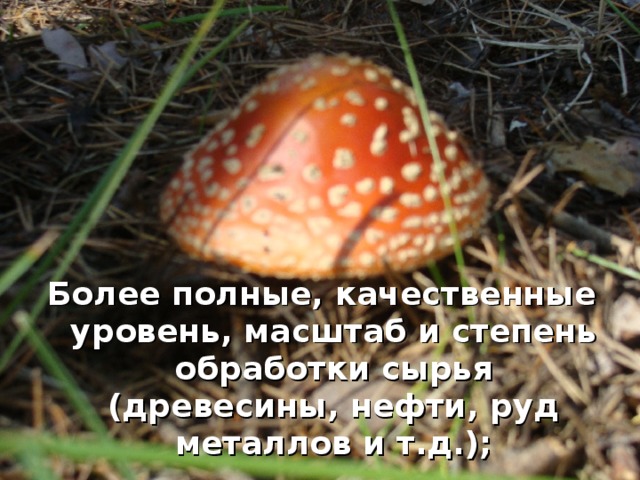 Более полные, качественные уровень, масштаб и степень обработки сырья (древесины, нефти, руд металлов и т.д.); 