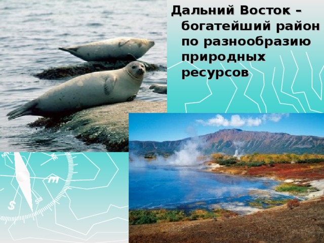 Дальний Восток – богатейший район по разнообразию природных ресурсов 