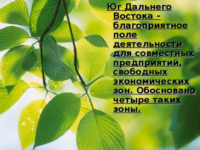 Юг Дальнего Востока – благоприятное поле деятельности для совместных предприятий, свободных экономических зон. Обосновано четыре таких зоны. 