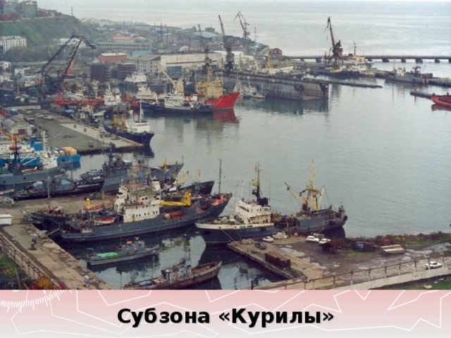 Субзона «Курилы» 