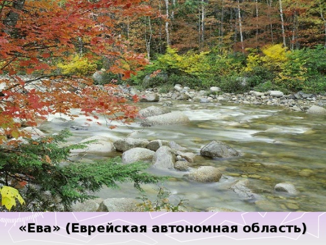 «Ева» (Еврейская автономная область) 