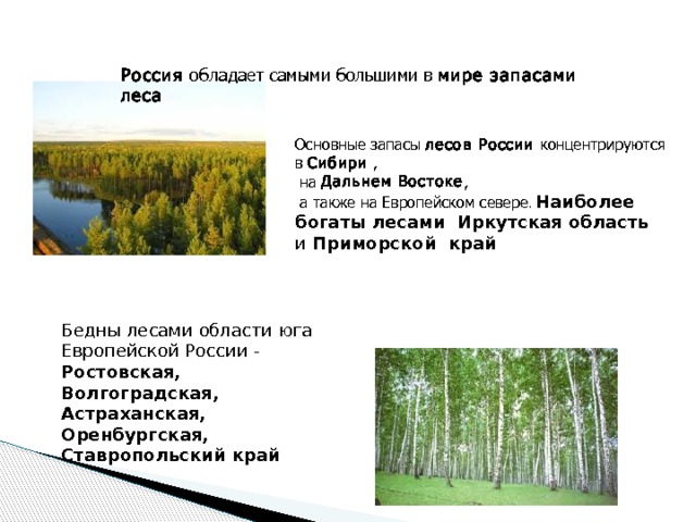 Россия   обладает самыми большими в   мире запасами леса Основные запасы   лесов России   концентрируются в   Сибири   ,  на   Дальнем Востоке ,  а также на Европейском севере . Наиболее богаты лесами Иркутская область и  Приморской край Бедны лесами области юга Европейской России - Ростовская, Волгоградская, Астраханская, Оренбургская, Ставропольский край 