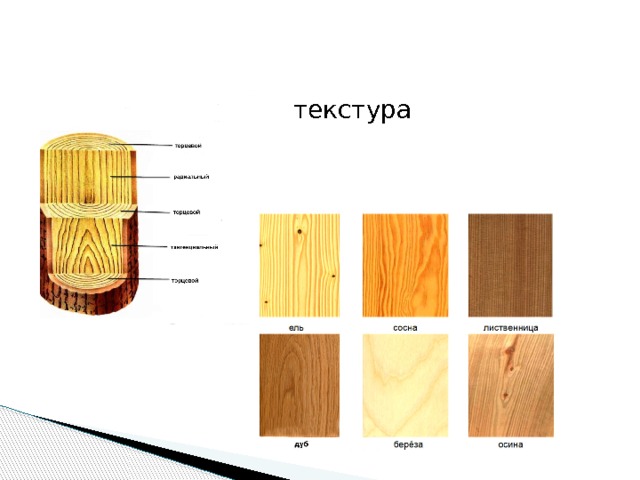 текстура 