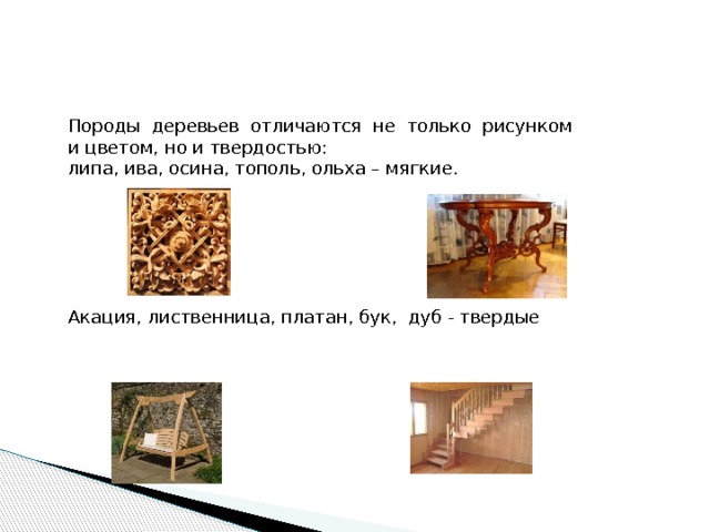 Породы деревьев отличаются не только рисунком и цветом, но и твердостью: липа, ива, осина, тополь, ольха – мягкие. Акация, лиственница, платан, бук, дуб - твердые 