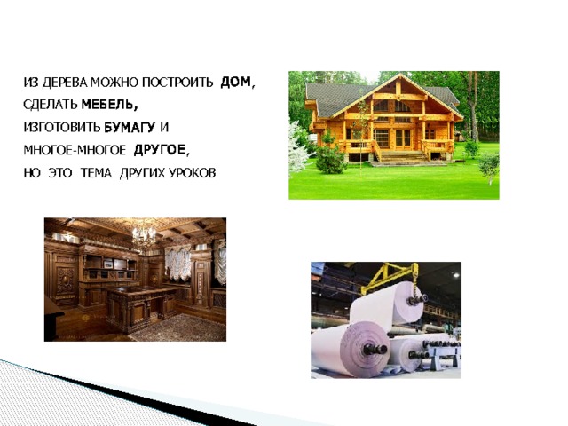 ИЗ ДЕРЕВА МОЖНО ПОСТРОИТЬ ДОМ , СДЕЛАТЬ МЕБЕЛЬ, ИЗГОТОВИТЬ БУМАГУ И МНОГОЕ-МНОГОЕ ДРУГОЕ , НО ЭТО ТЕМА ДРУГИХ УРОКОВ 