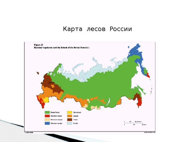 Карта лесов России 