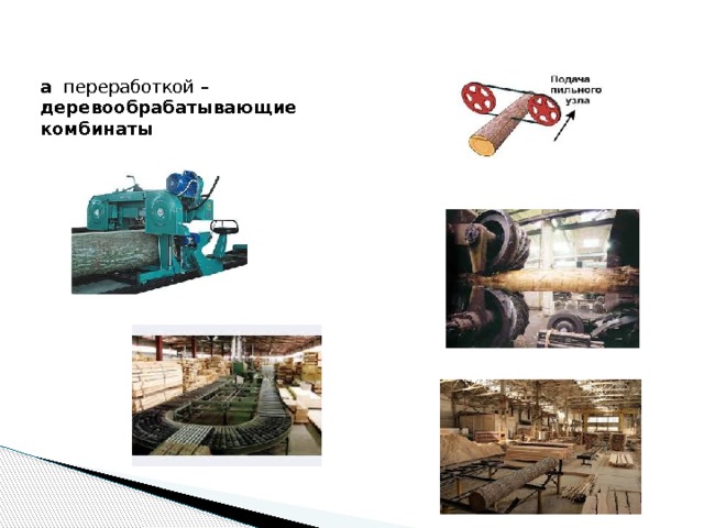 а переработкой – деревообрабатывающие комбинаты 