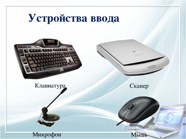 Устройства ввода Клавиатура Сканер Микрофон Мышь 