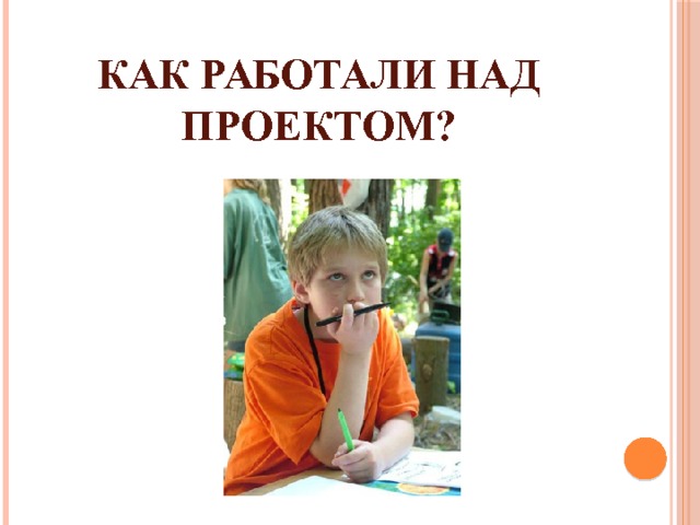 Как работали над проектом? 