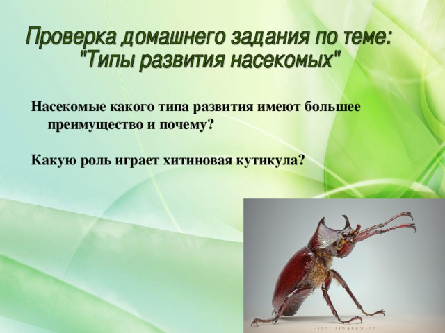  Насекомые какого типа развития имеют большее преимущество и почему?  Какую роль играет хитиновая кутикула?   