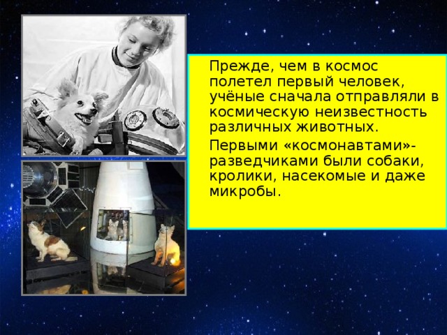 Прежде, чем в космос полетел первый человек, учёные сначала отправляли в космическую неизвестность различных животных.   Первыми «космонавтами»-разведчиками были собаки, кролики, насекомые и даже микробы.