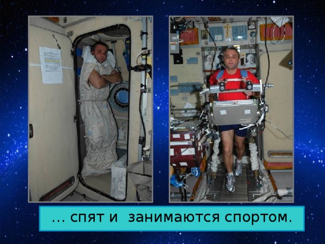 … спят и занимаются спортом.