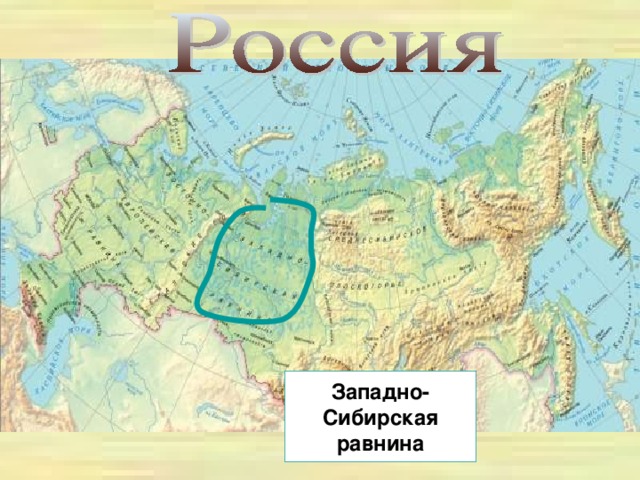 Западно- Сибирская равнина