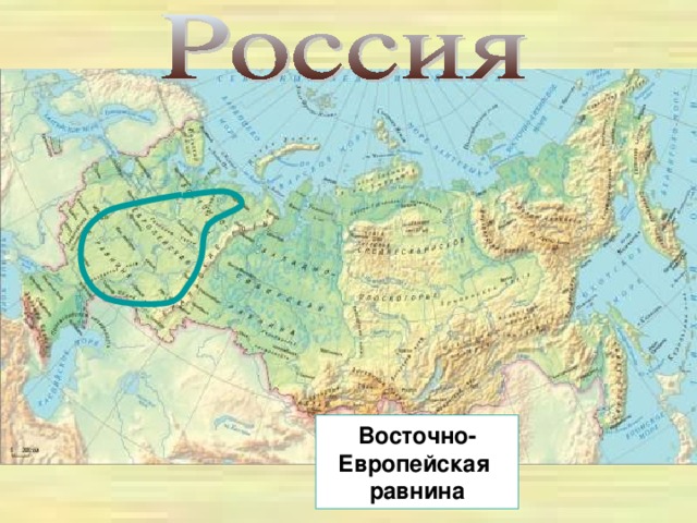 Восточно- Европейская равнина