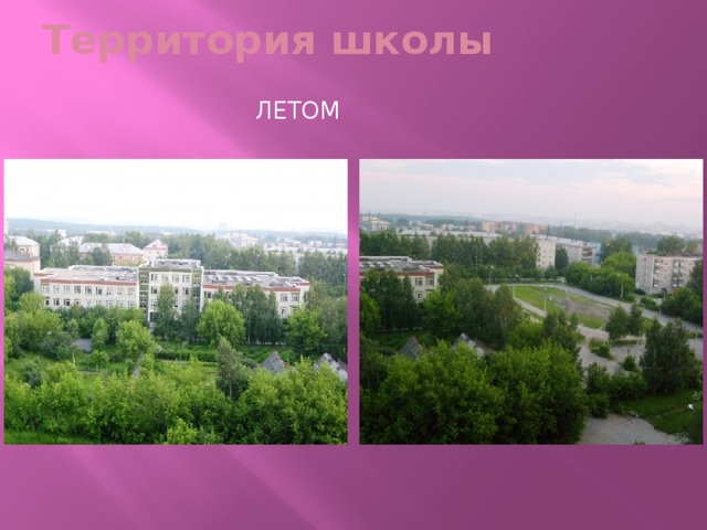 Территория школы летом 