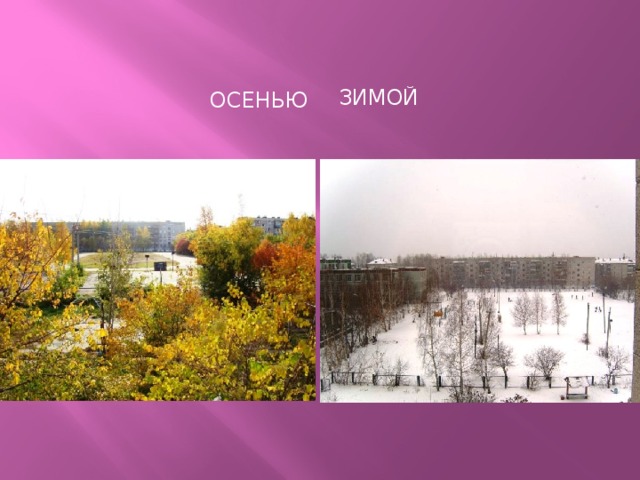 осенью  зимой 