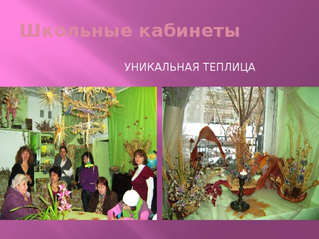 Школьные кабинеты  уникальная Теплица 